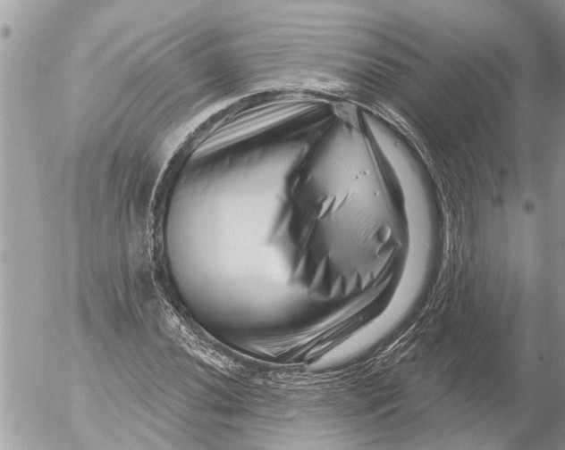 X0000054461020200508270058