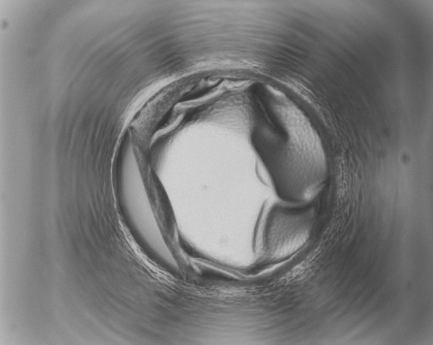 X0000054461030200508270059