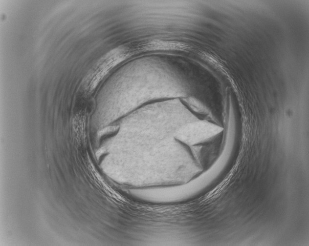 X0000054461033200508270059