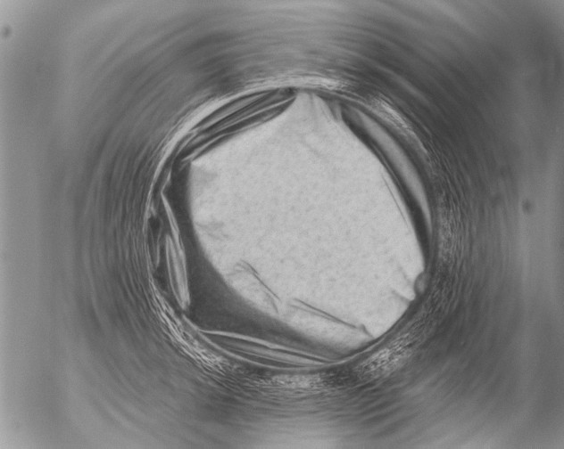 X0000054461044200508270059