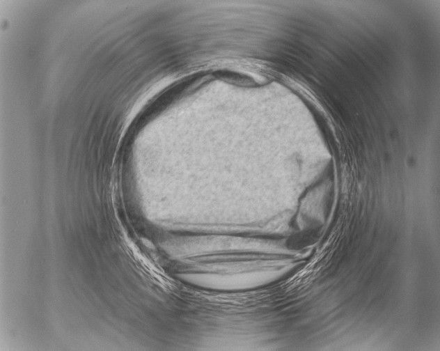 X0000054461048200508270059