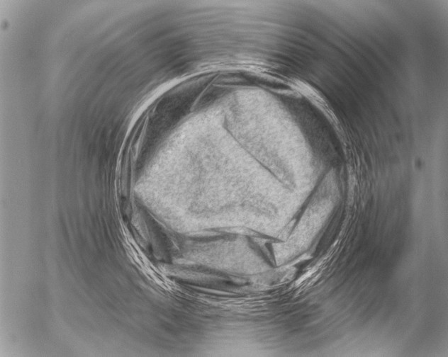 X0000054461052200508270059