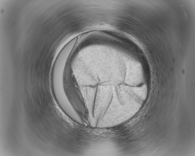 X0000054461056200508270059
