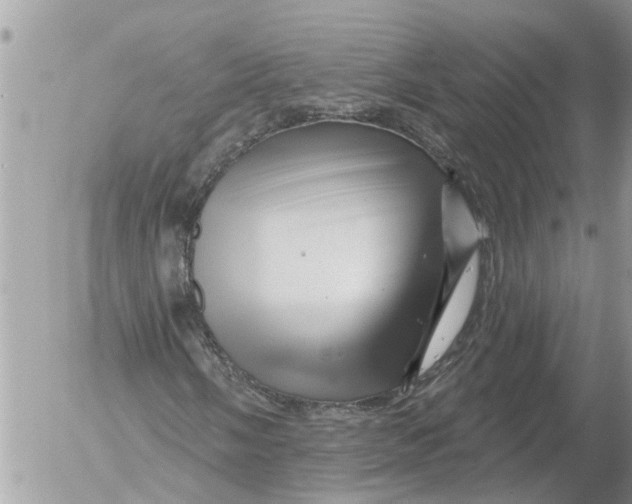 X0000054461058200508270058