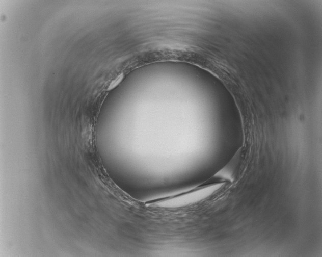 X0000054461061200508270058