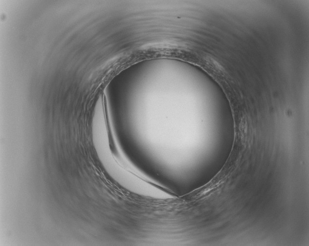 X0000054461062200508270058