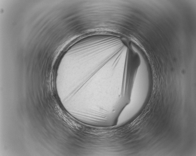 X0000054461076200508270058