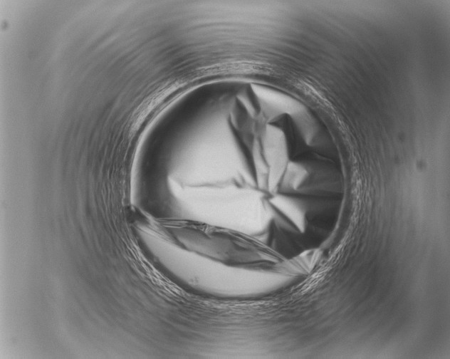 X0000054461081200508270058