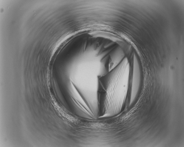 X0000054461085200508270058