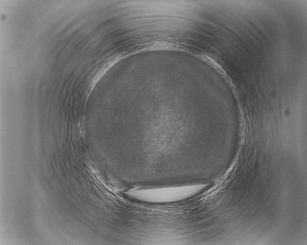 X0000054461097200508270058