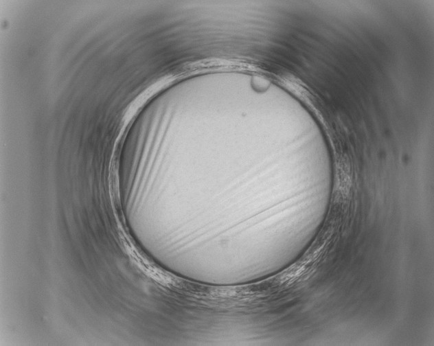 X0000054461098200508270058