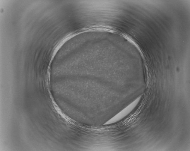 X0000054461099200508270058