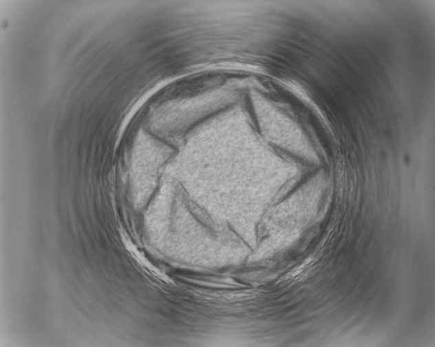 X0000054461100200508270058