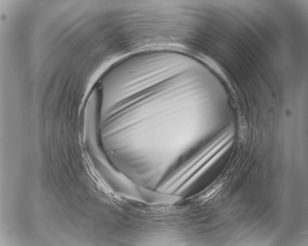 X0000054461102200508270058