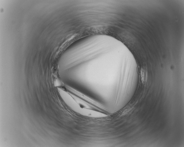 X0000054461107200508270057