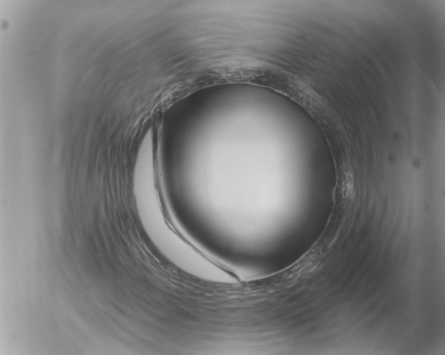 X0000054461108200508270057