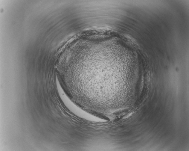X0000054461110200508270057