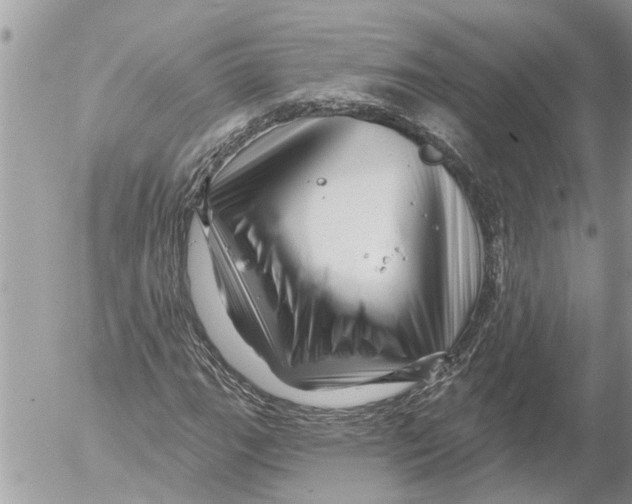 X0000054461111200508270057