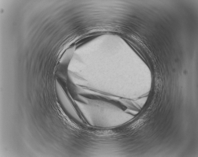 X0000054461129200508270057