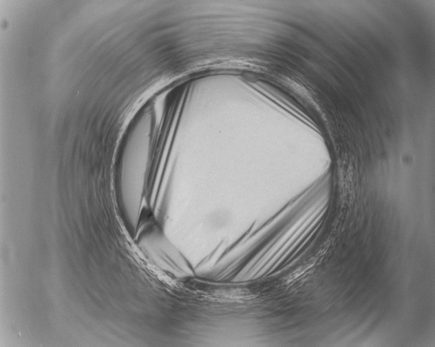 X0000054461133200508270057