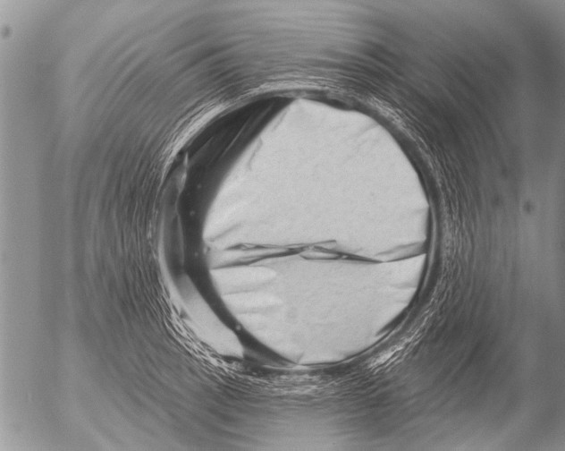 X0000054461137200508270057