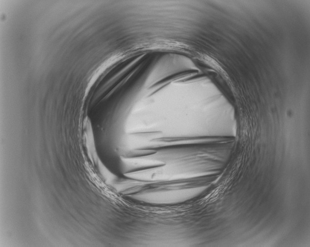 X0000054461138200508270057