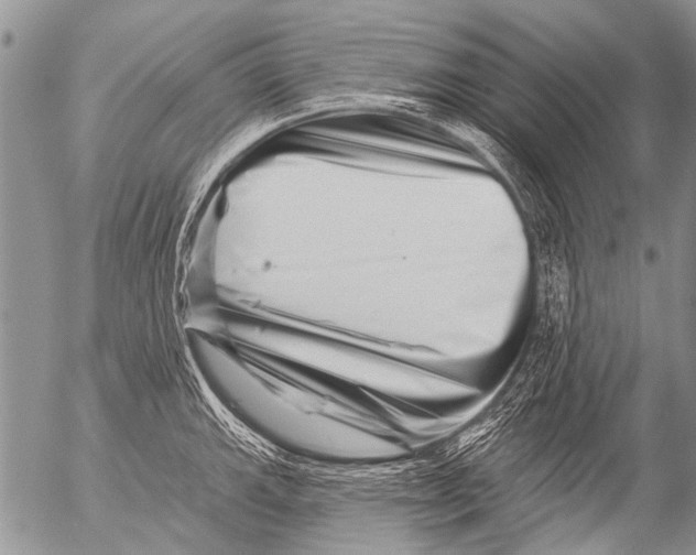 X0000054461143200508270057
