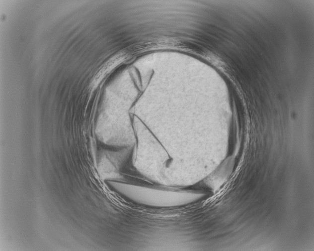 X0000054461145200508270057