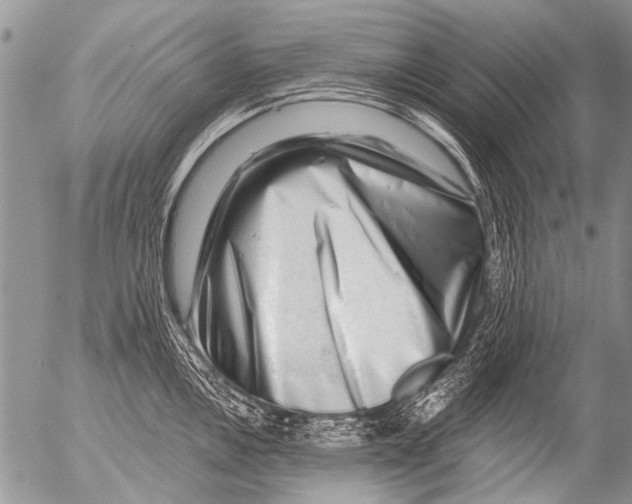 X0000054461146200508270057