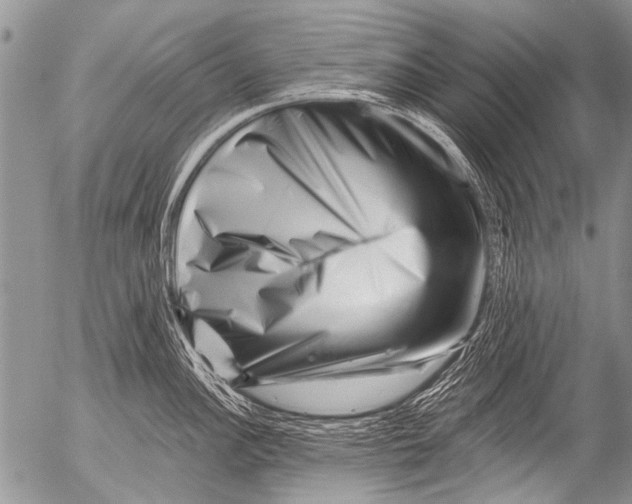 X0000054461148200508270057