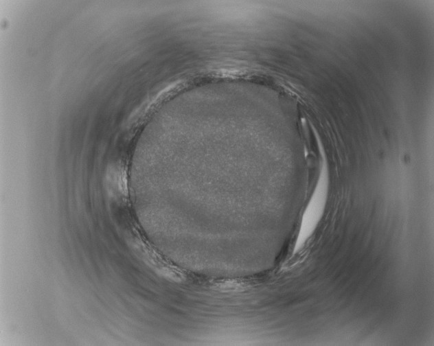 X0000054461155200508270057