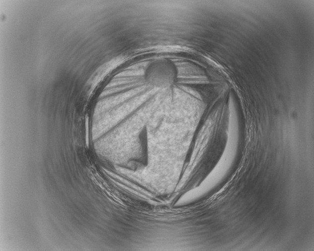 X0000054461171200508270056