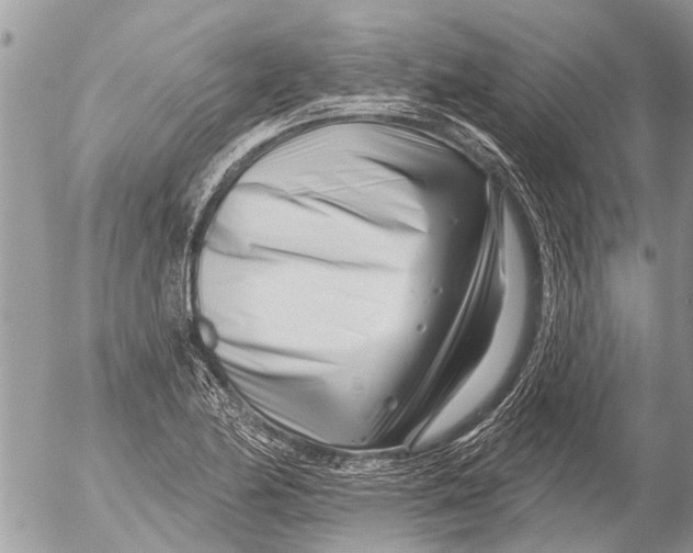X0000054461174200508270056