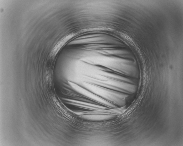 X0000054461177200508270056