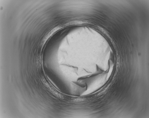 X0000054461178200508270056
