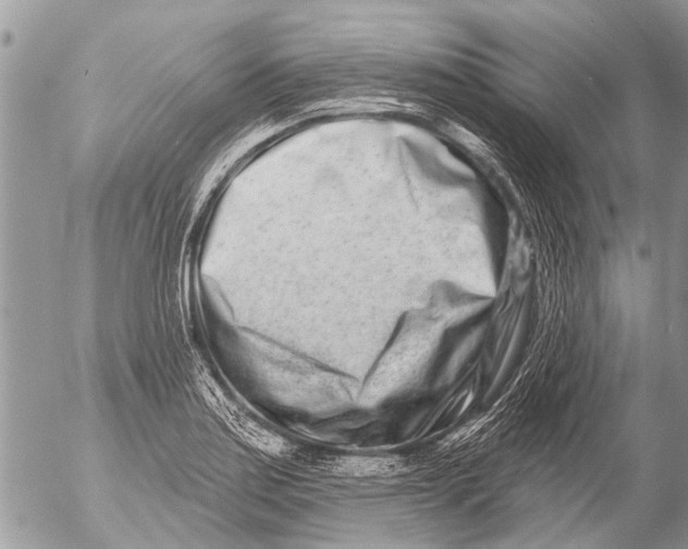 X0000054461179200508270056