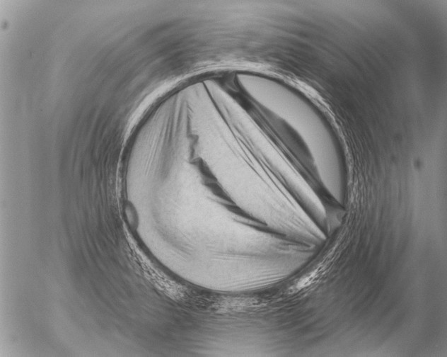 X0000054461183200508270056