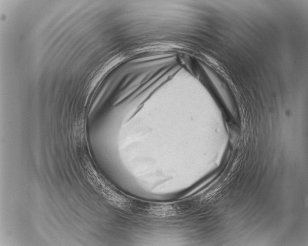 X0000054461186200508270056