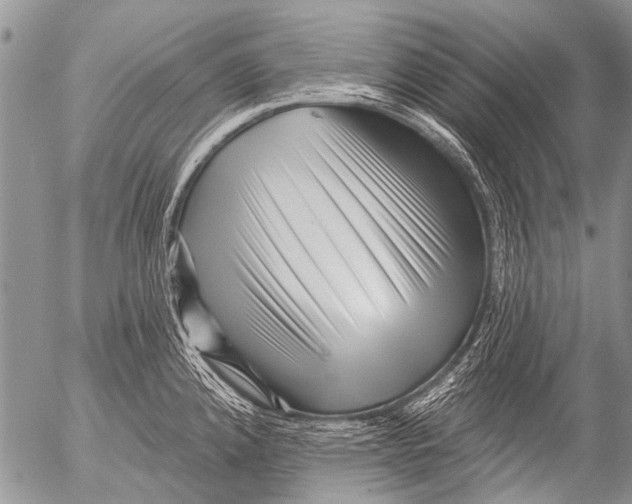 X0000054461192200508270056