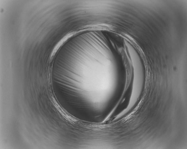 X0000054461196200508270056