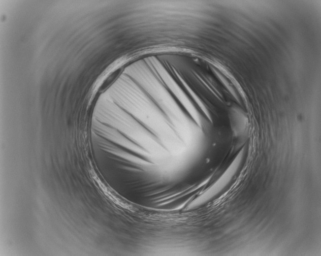 X0000054461197200508270056