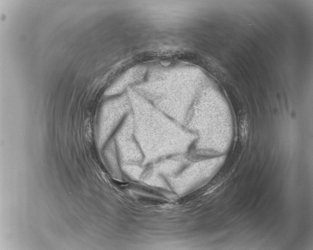 X0000054461204200508270055