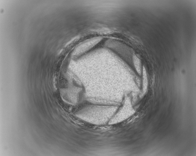 X0000054461205200508270055