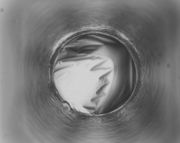 X0000054461214200508270055