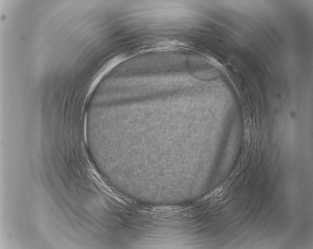 X0000054461227200508270056