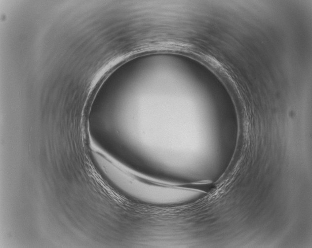 X0000054461230200508270056