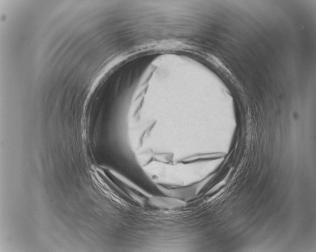 X0000054461232200508270056