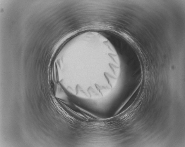X0000054461238200508270056