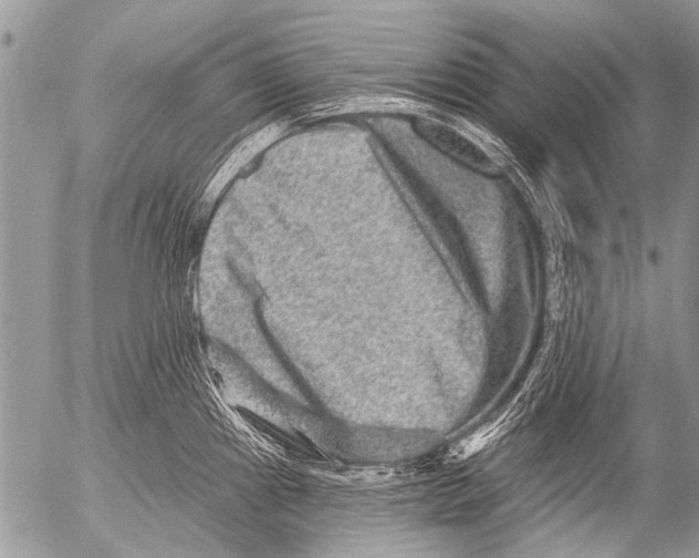 X0000054461241200508270056