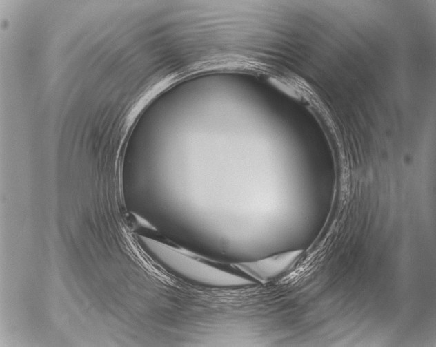 X0000054461242200508270056